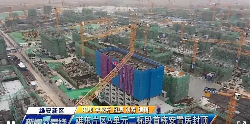 焦點(diǎn)！大將軍驚艷亮相雄安德維斯建博會，流量爆棚引圍觀！(圖7)