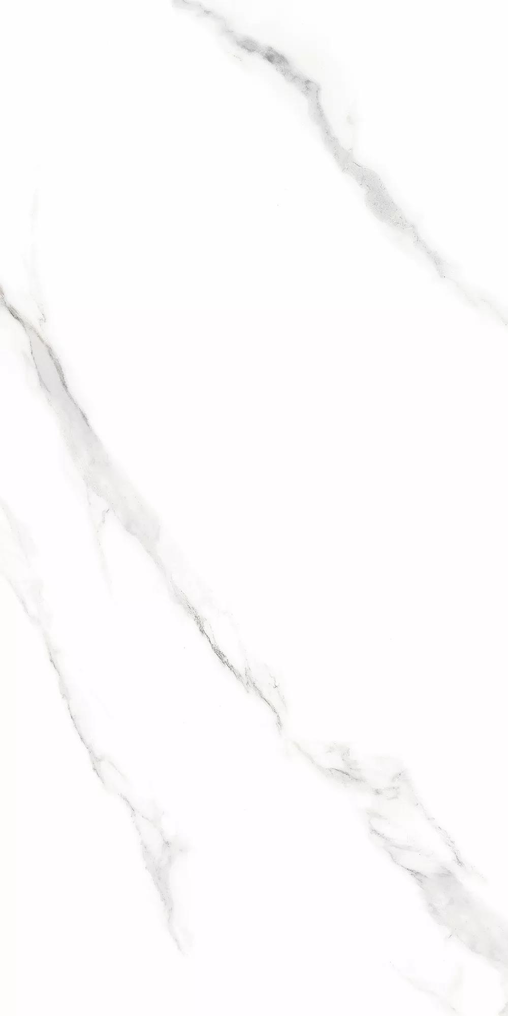 攻略丨了解多姿多彩的瓷磚紋理，才能裝出時尚有范的美好生活！
(圖6)
