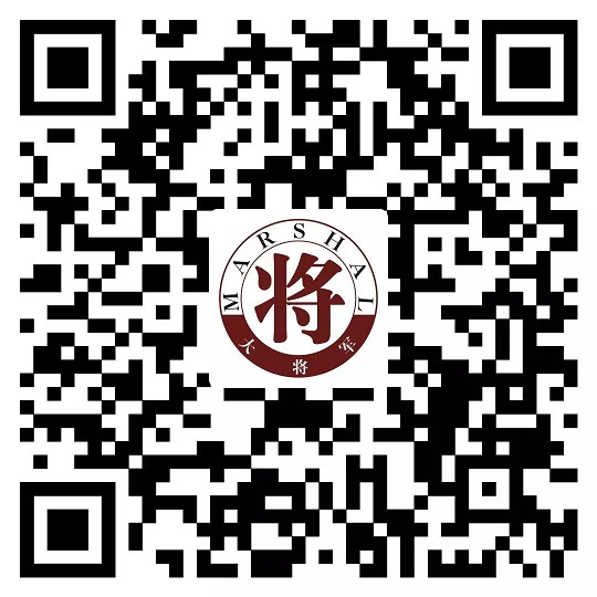 攻略丨了解多姿多彩的瓷磚紋理，才能裝出時尚有范的美好生活！
(圖17)