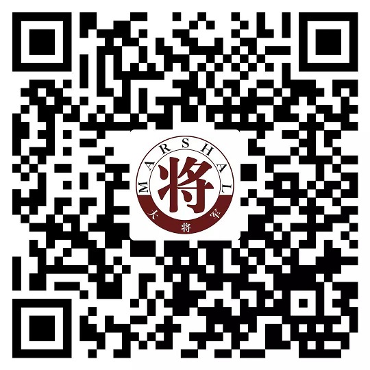 攻略丨了解多姿多彩的瓷磚紋理，才能裝出時尚有范的美好生活！
(圖11)